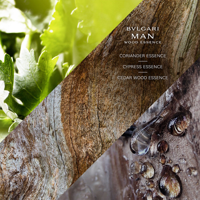 Man Wood Essence Eau de Parfum For Him