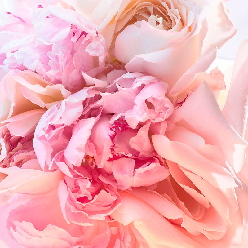 Rose Goldea Blossom Delight Eau De Toilette For Her