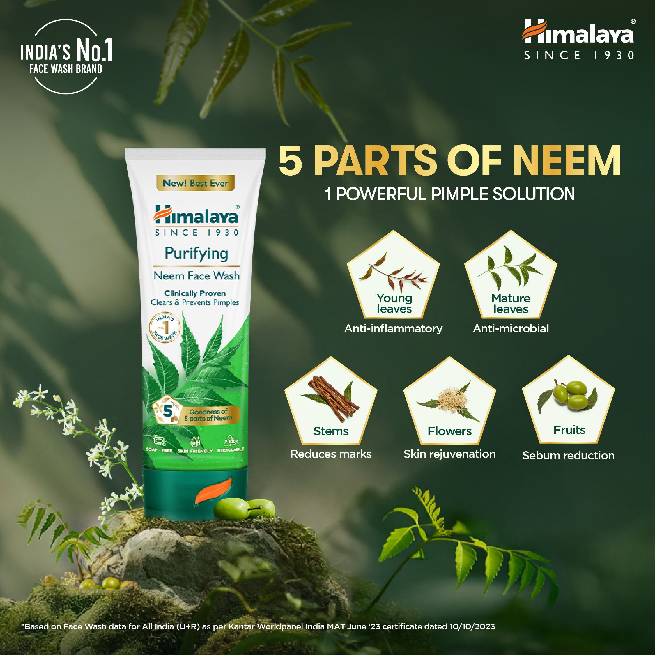 Purifying Neem Face Wash
