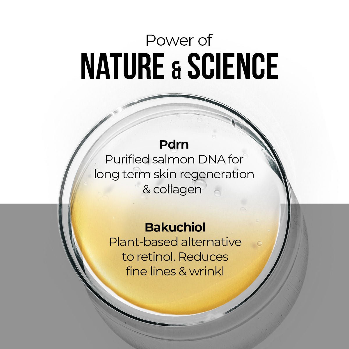 Bakuchiol & PDRN Ampoule Serum Anti-Aging, Reduces Wrinkles, Fine Lines & Repairs Skin