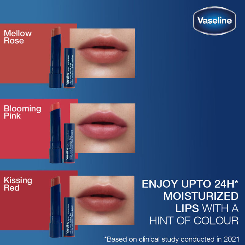 Lip Care Colour + Care Tinted Lip Balm Stick