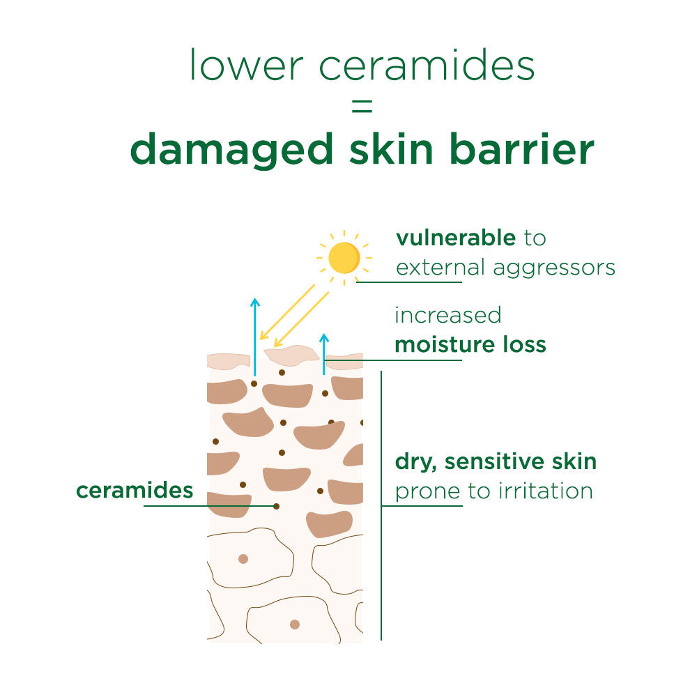Active Skin Barrier Care, with 11% Ceramide Boosters for Sensitive Skin