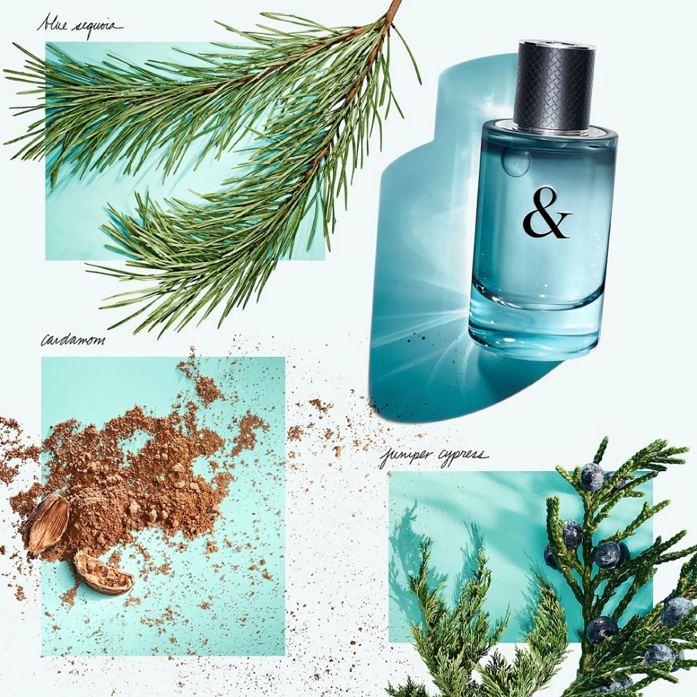 Tiffany & Love for Him Eau De Toilette