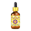 Pure Kashmir Lavender Essential Oil - Lavandula Angustifolia Steam Distilled