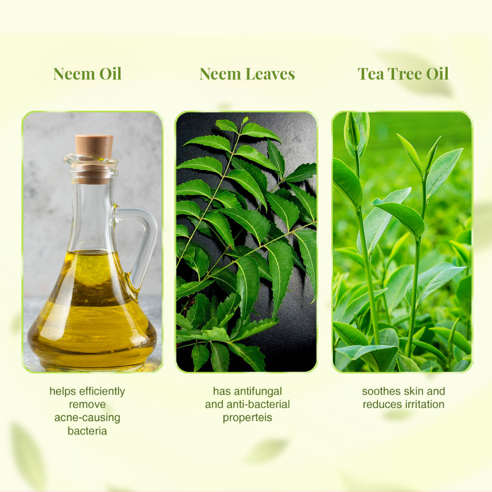 Ayurveda Skin Purifying Double Power Double Neem Face Wash