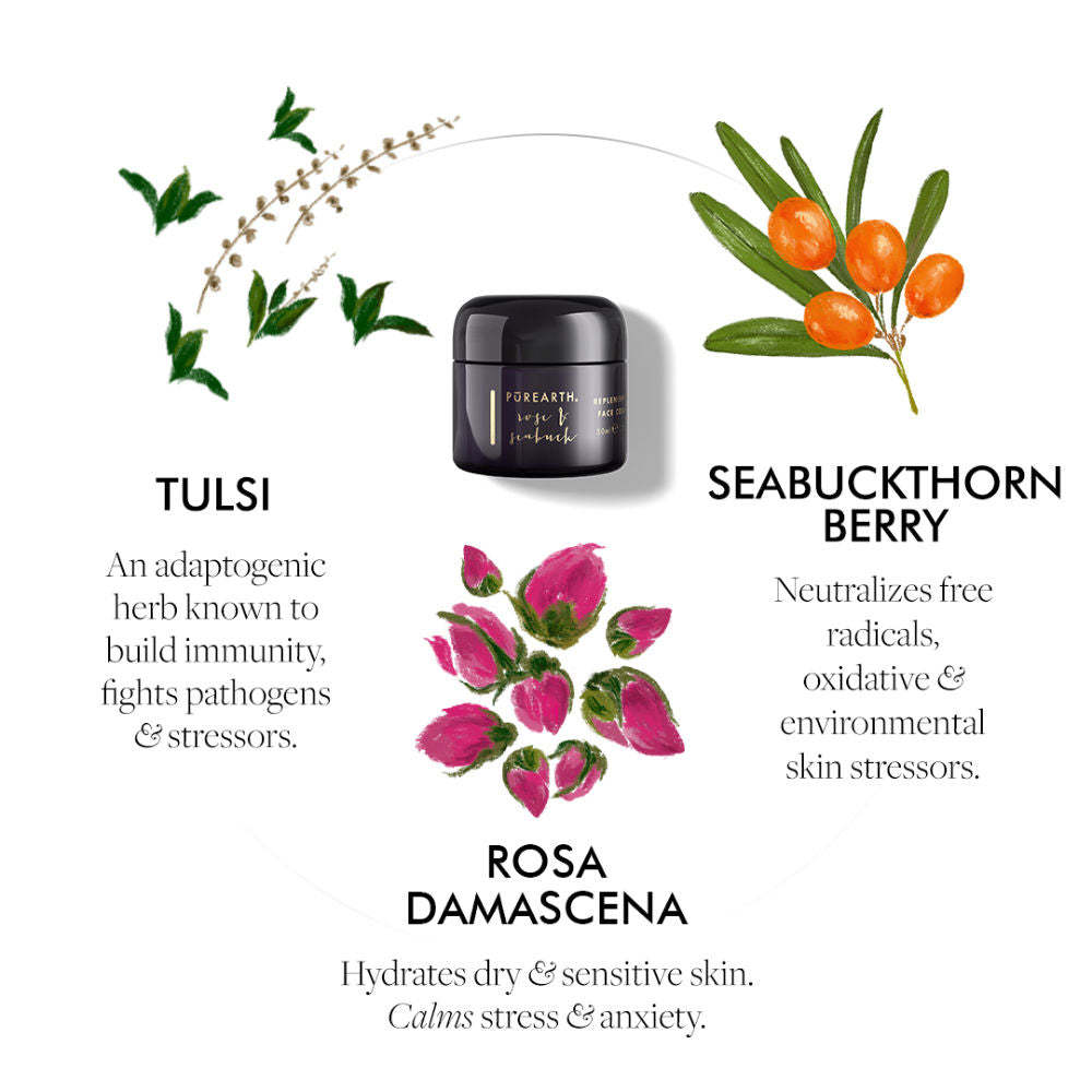 Rose & Seabuck Replenishing Face Cream