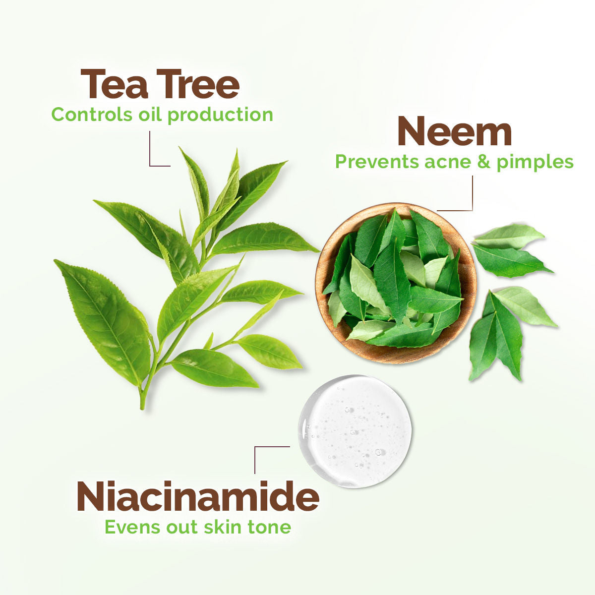 Tea Tree Oil Control Face Wash