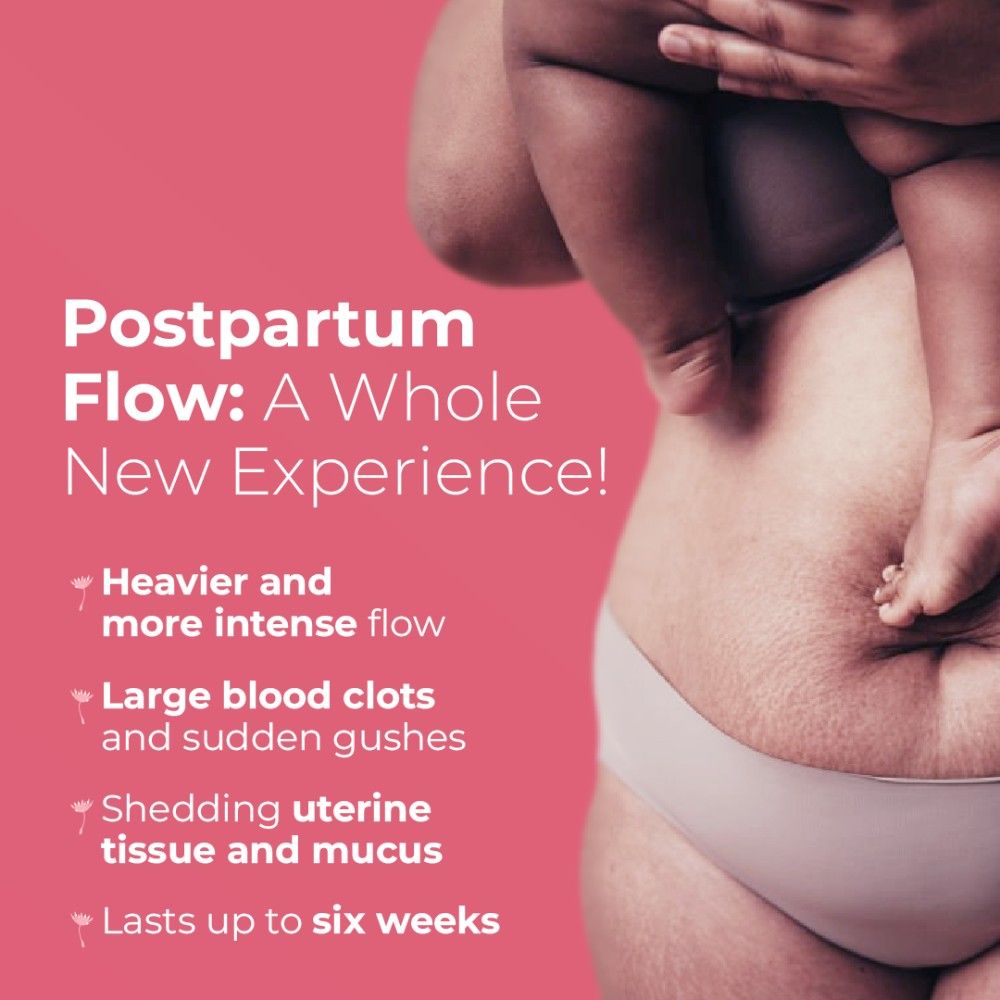Maternity 360° Comfort Panties - 5 panties