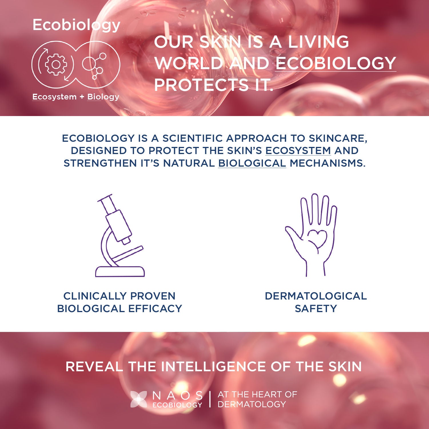 Cicabio Arnica+ SOS Quickly Repairs and Soothes Skin Damage