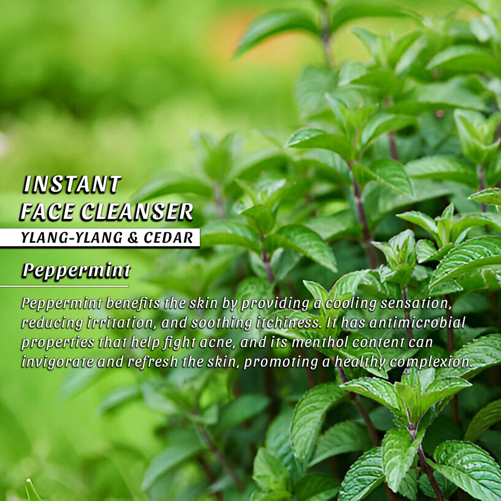 Instant Face Cleanser