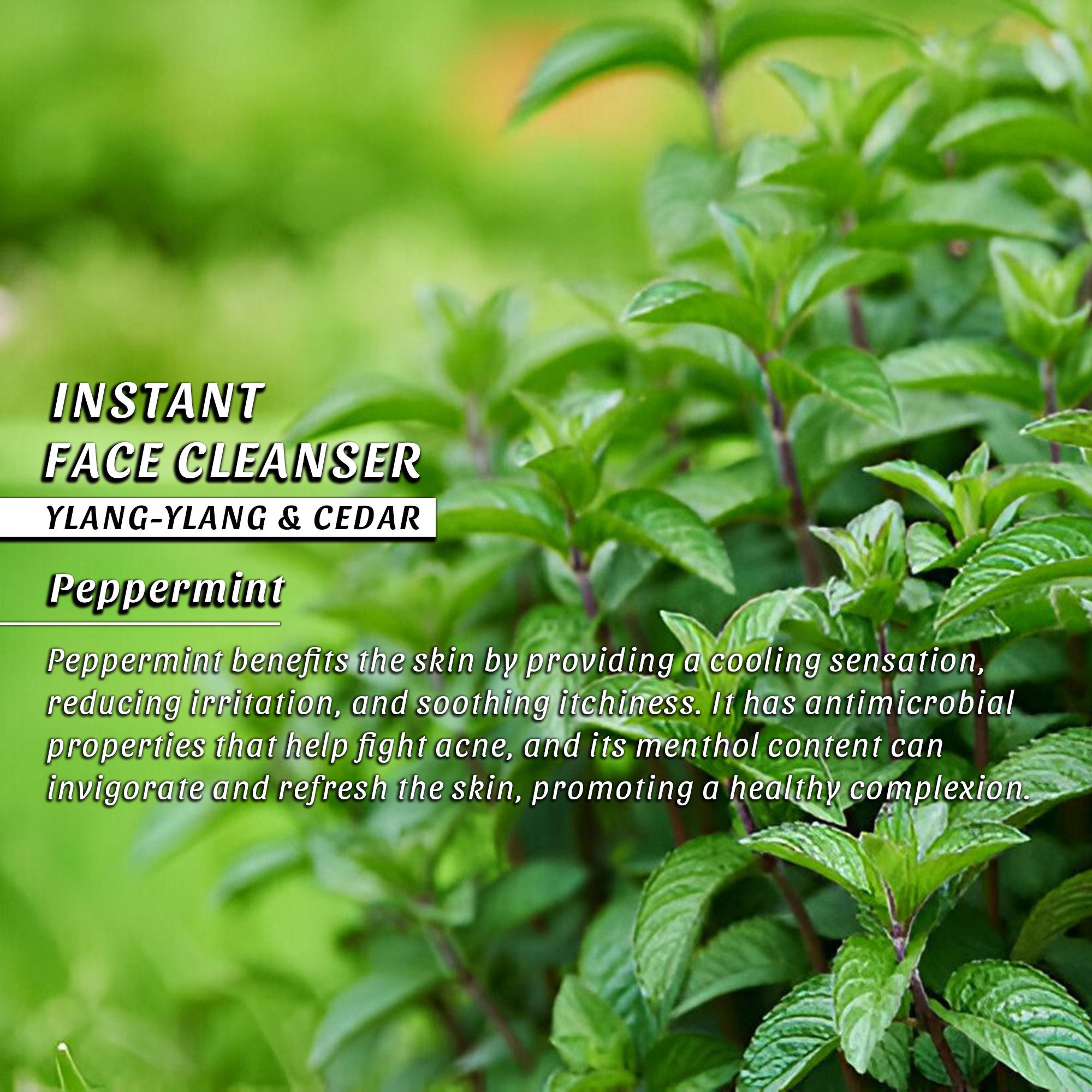 Instant Face Cleanser