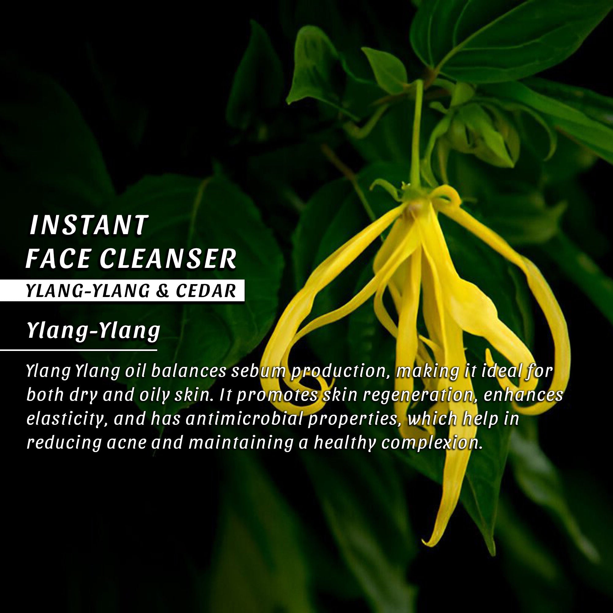 Instant Face Cleanser
