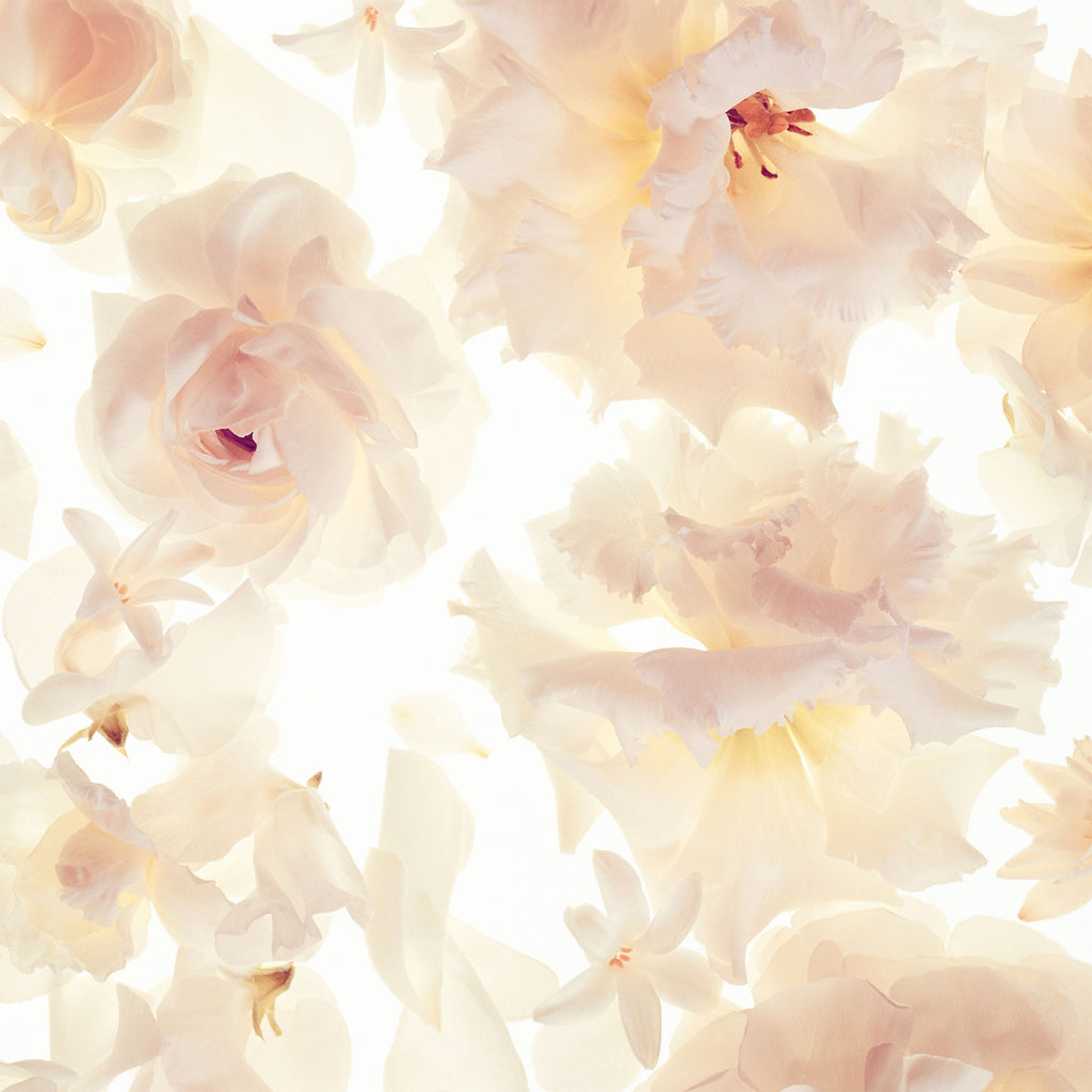 Gorgeous Eau De Parfum