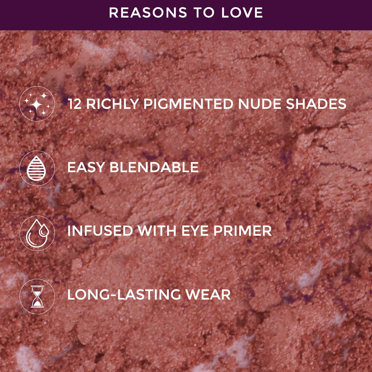 Proedit Eye Primer Infused Eyeshadow Palette