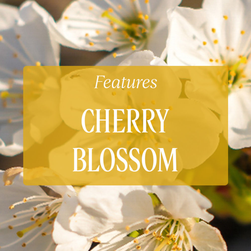 Fleurs de Cerisier (Cherry Blossom) Hand Cream