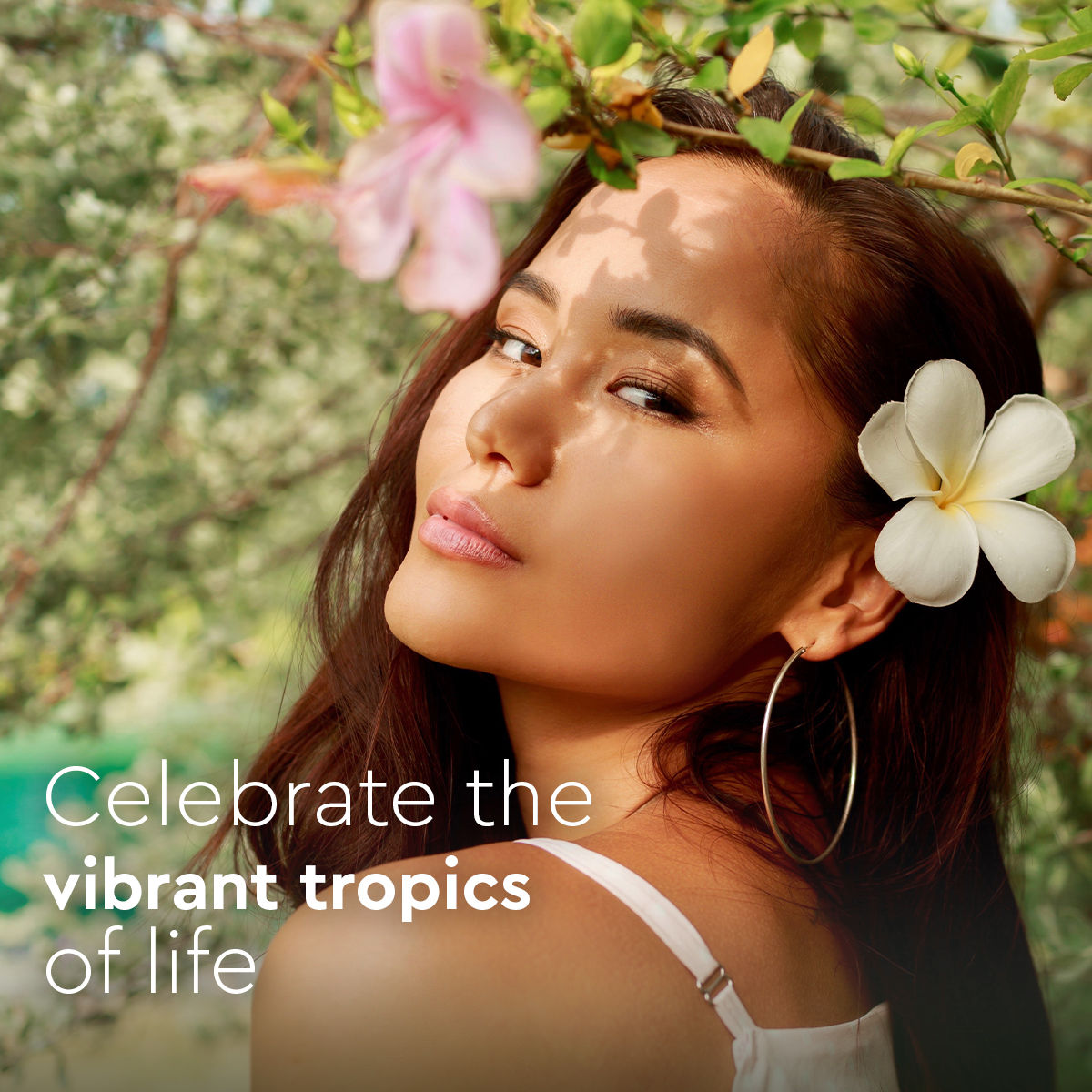Body Mist Fragrance - Tropical Dreams