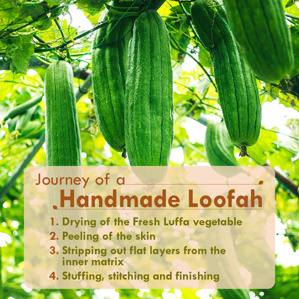 Natural Sun Dried Bath Loofah, Body Sponge, Scrubber for Men & Women, Sustainable Handmade