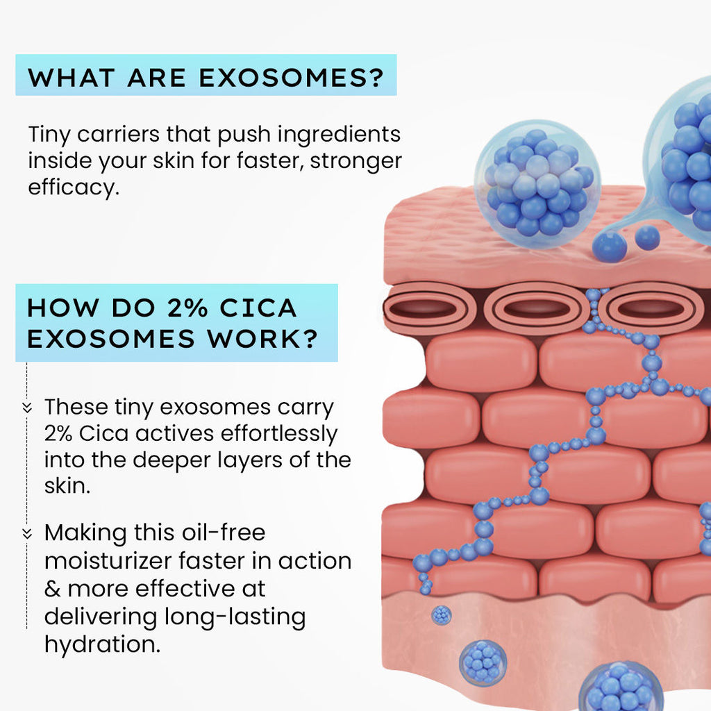 2% Cica Exosome Oil-Free Moisturizer 5% Niacinamide Controls Oil Non-sticky, Light Gel