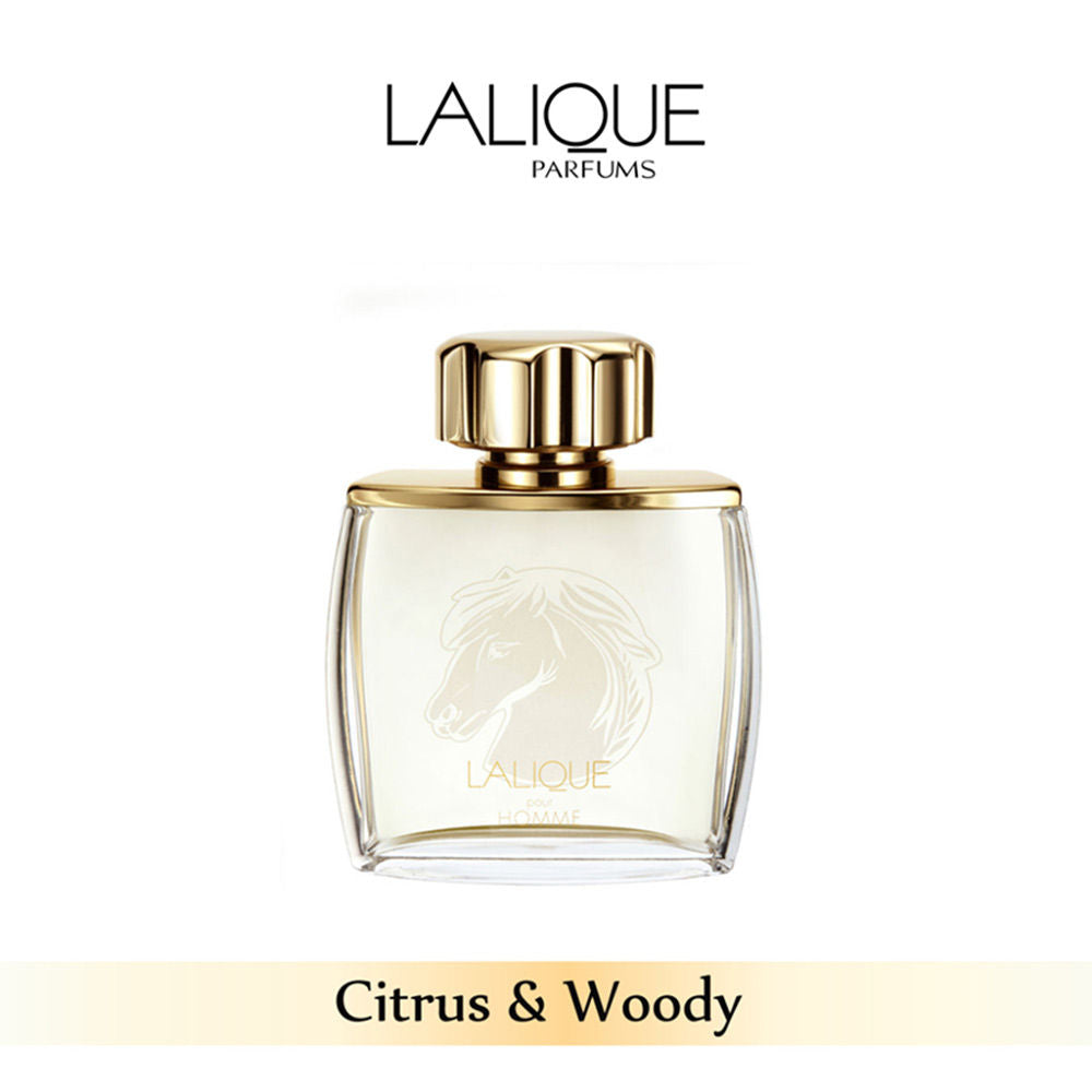 Pour Homme Equus Edp 75ml For Her