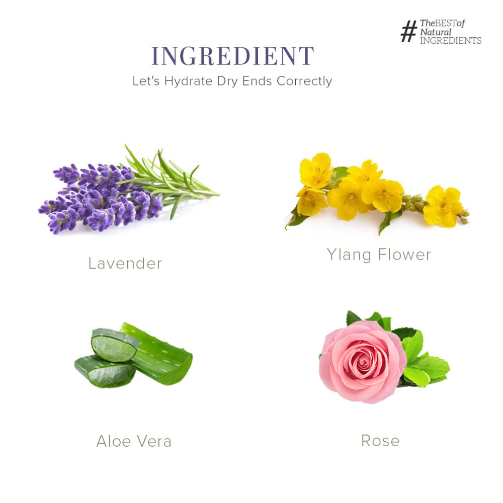 Lavender & Ylang Ylang Body Wash SLS & Paraben Free