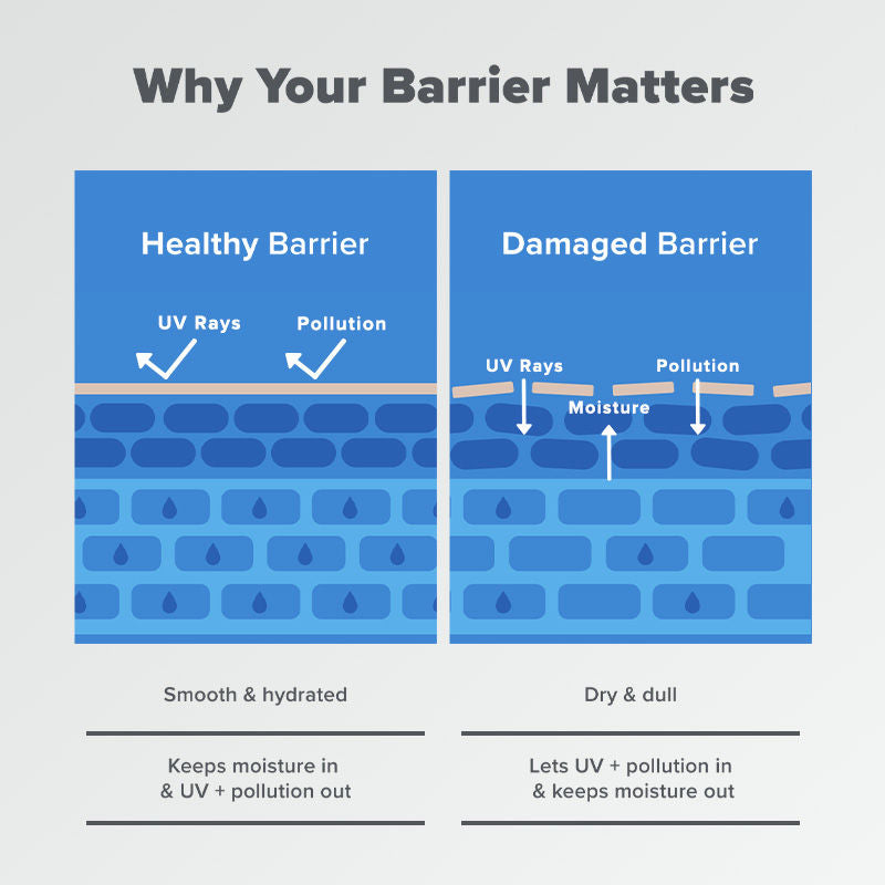 Resist Barrier Repair Advanced Moisturizer