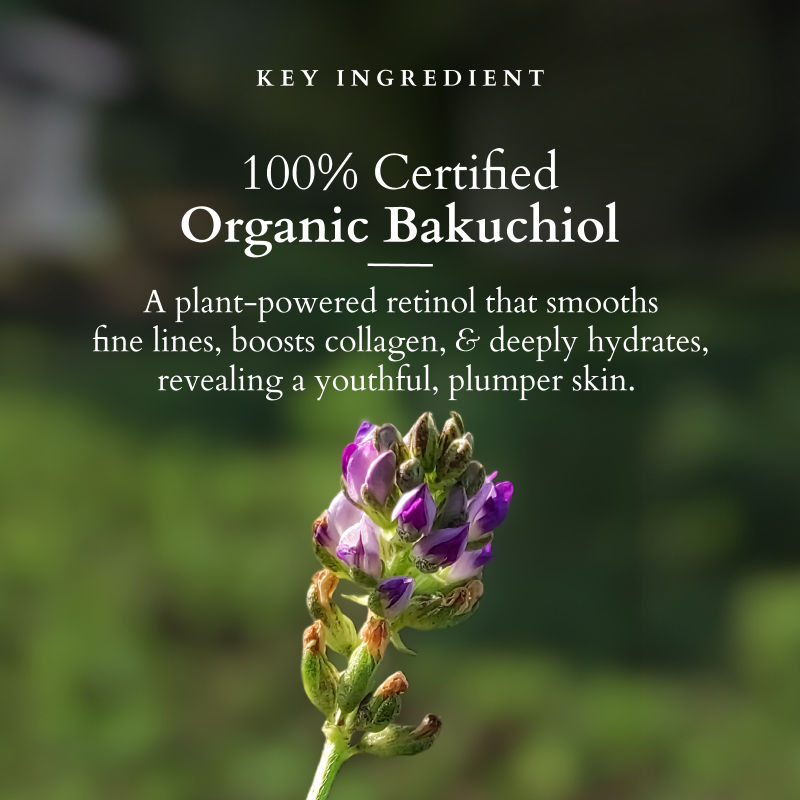 Lotus Organics+ Bakuchiol Plant Retinol Night Cream