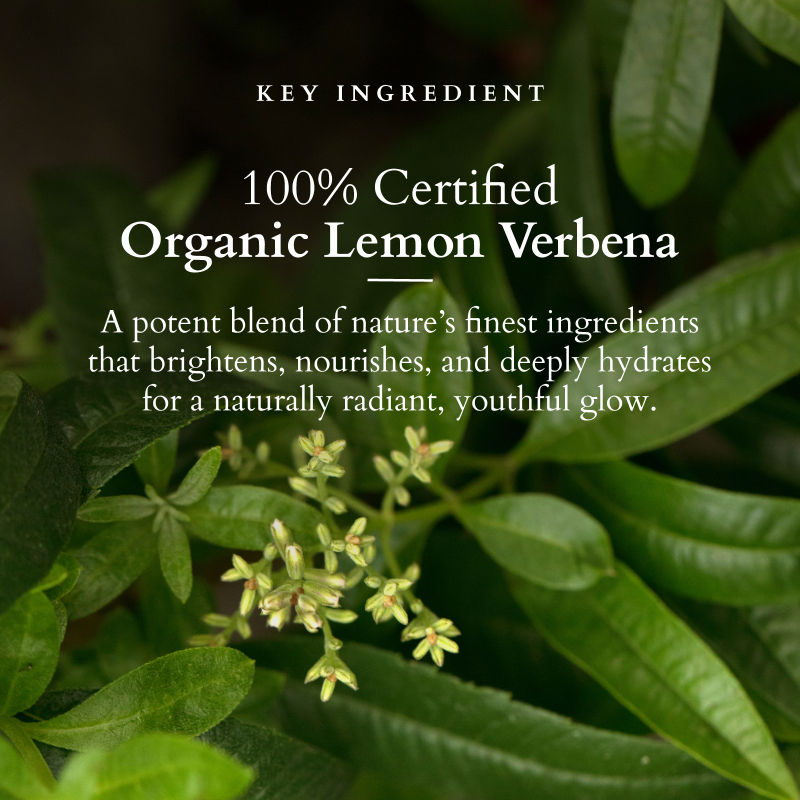 Vit-C Radiance Booster Cleanser - Lemon Verbena