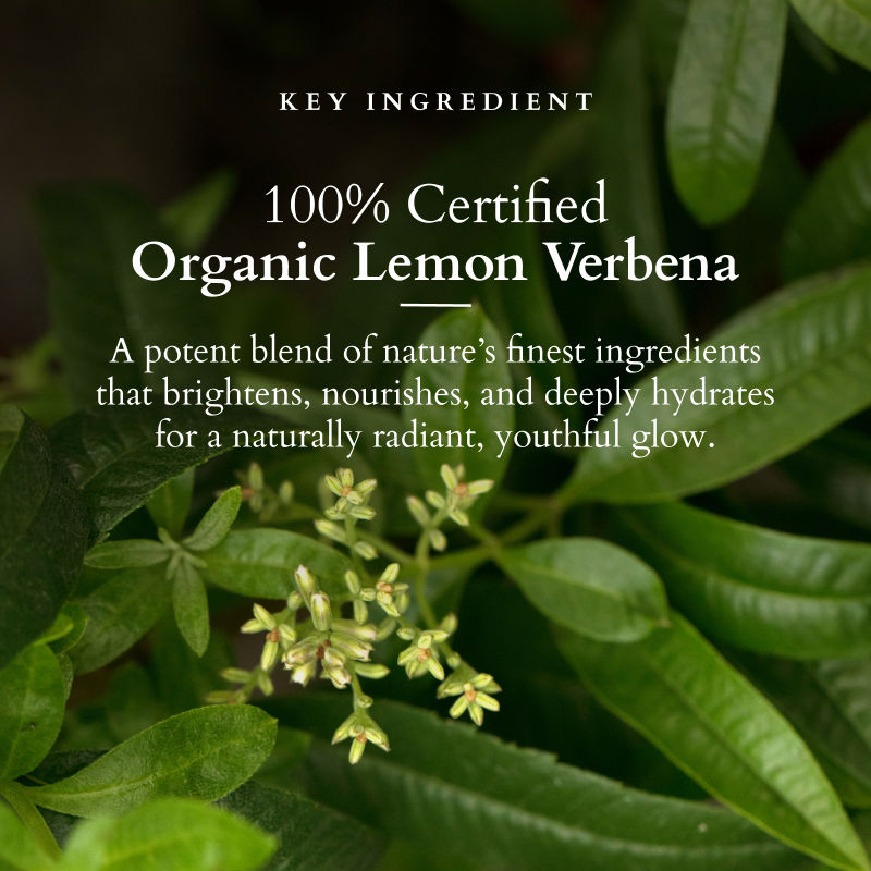 Vit-C Radiance Booster Crème SPF 20 PA+++ - Lemon Verbena