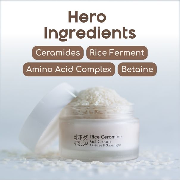 Ceramide Moisturizer Oil & Fragrance Free Gel Cream