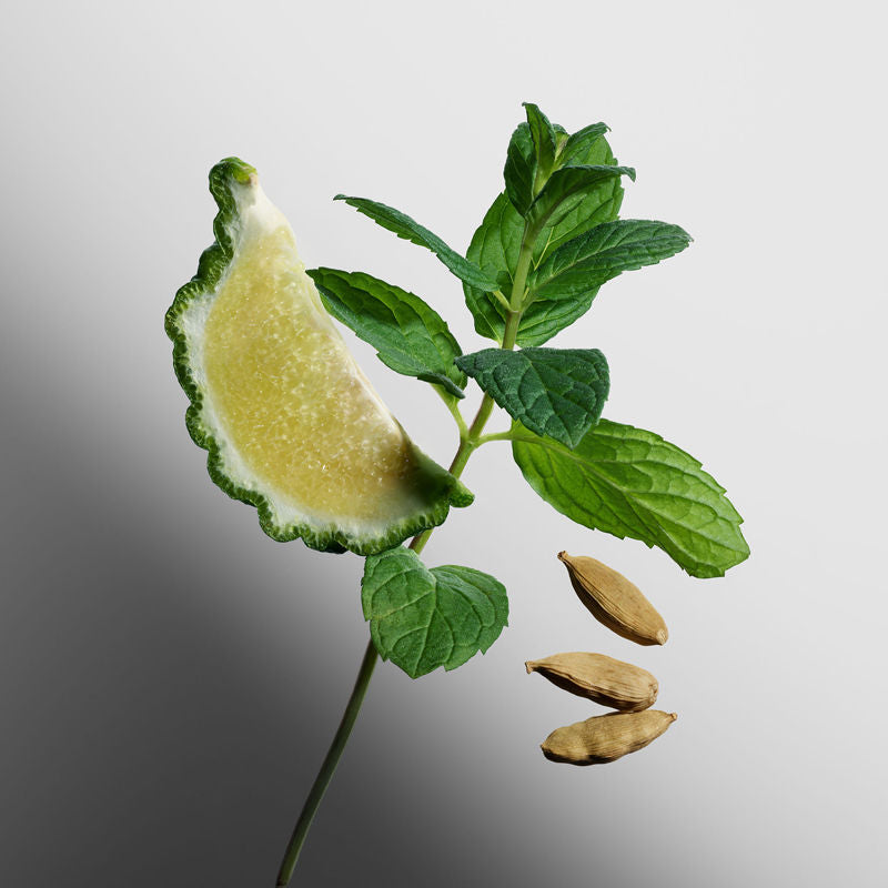 Instinct Eau De Parfum