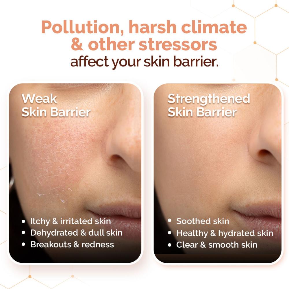 Chia Seed and Ceramides Oil-Free Moisturizer for a Hydrated Glow