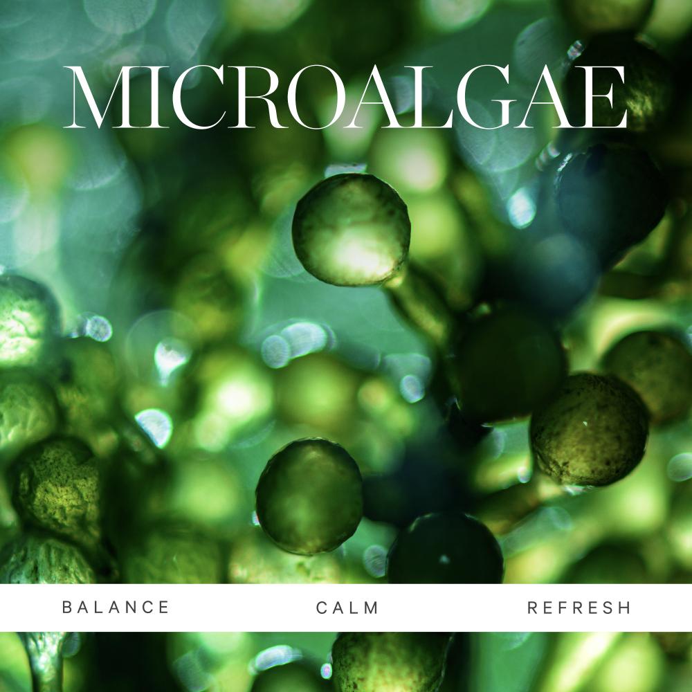 Active Algae Moisturizer- Reduces Dullness Fine Lines Pores With Green Algae Green Tea