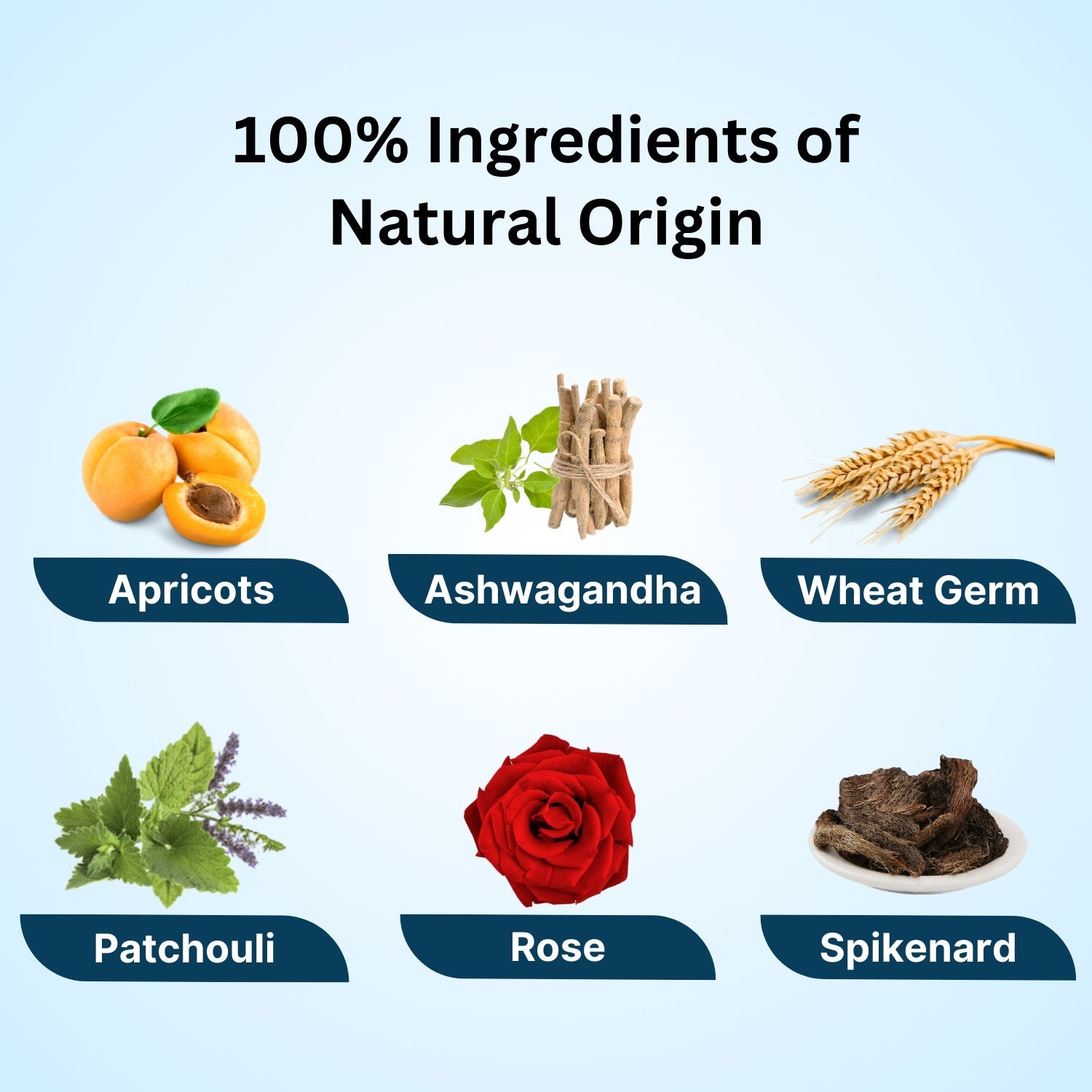 Regenerating Uplifting Oil