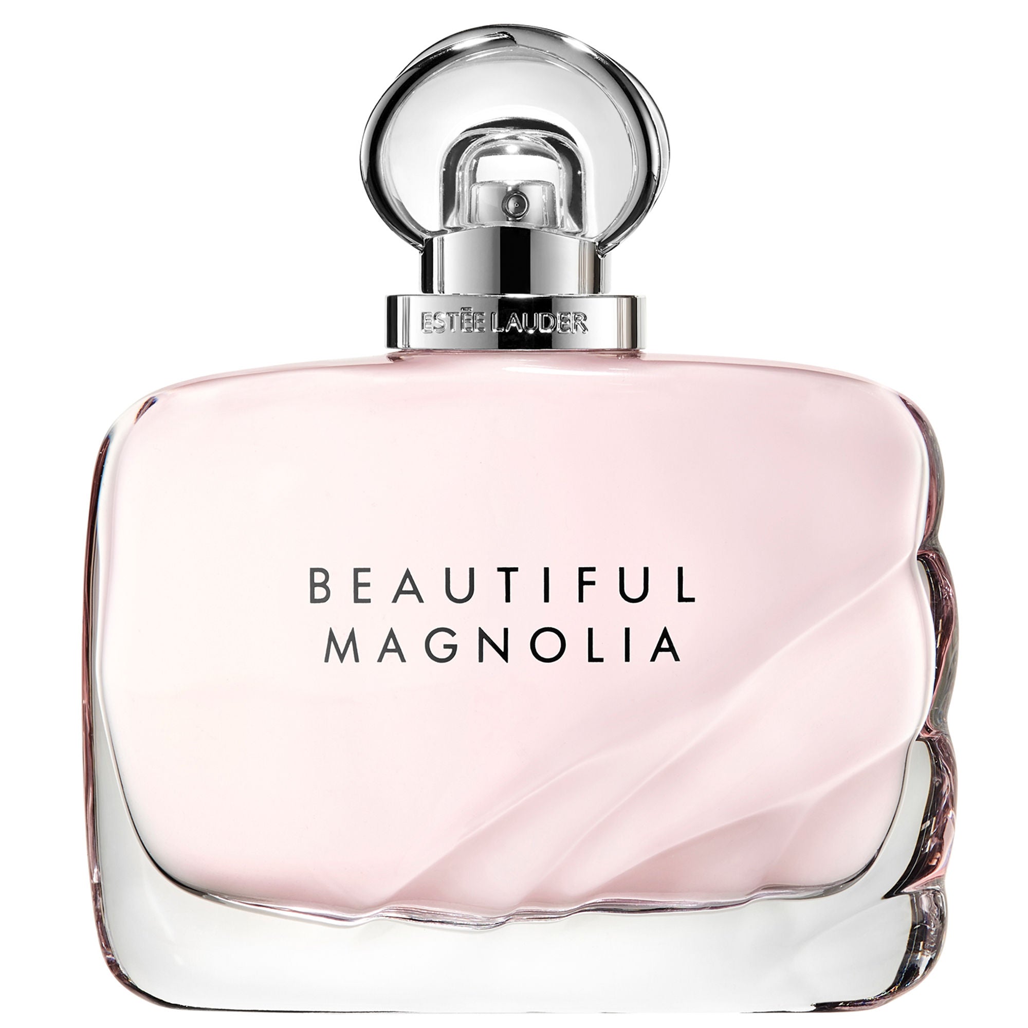 Beautiful Magnolia For Her