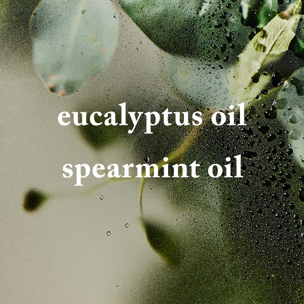 Eucalyptus Spearmint Bath Fizzy