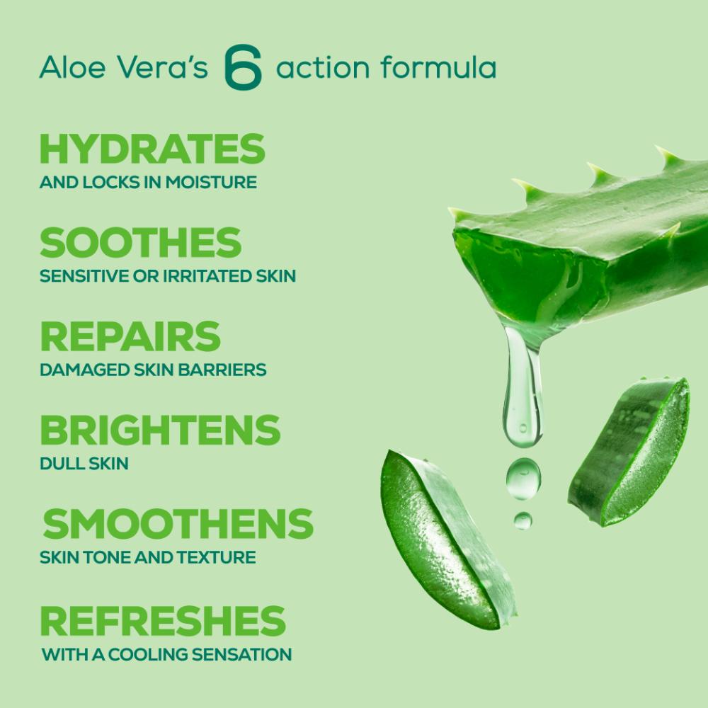 Pure Aloe Vera Body Lotion, Lightweight 48hr Moisturization for Normal & Oily Winter Skin