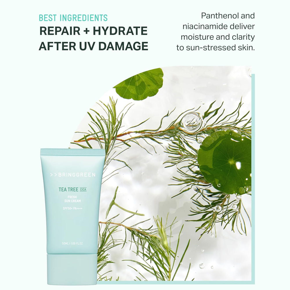 Tea Tree Cica Fresh Sun Cream SPF 50+ PA++++ Korean Tinted Mineral Sunscreen