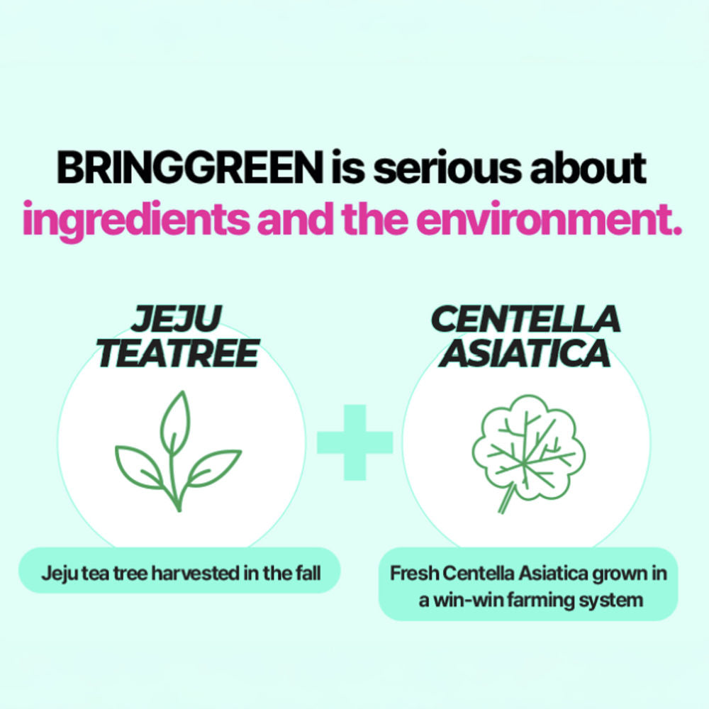 Tea Tree Cica Tone-Up Sun Cushion SPF 50+ PA++++ With Centella & Niacinamide