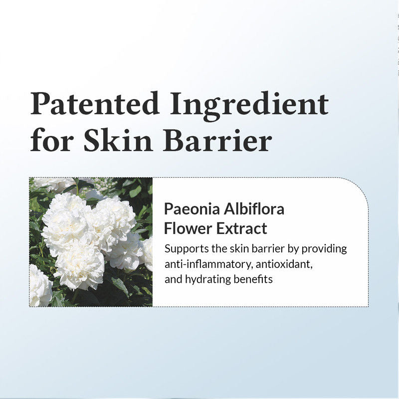 147 Barrier Cream: Rich Ceramide & hyaluronic acid infused cream for Damaged Skin Barrier