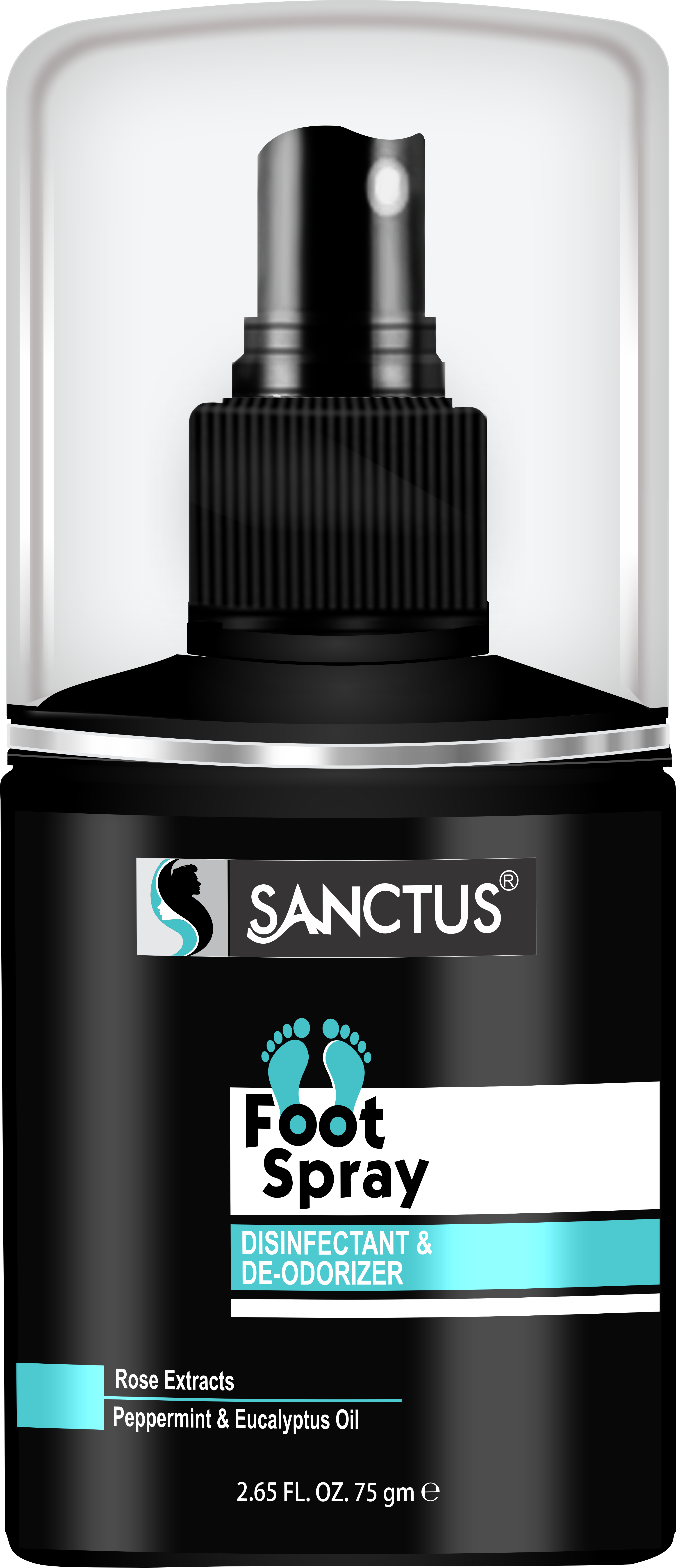 Disinfectant & Deodorizer Foot Spray