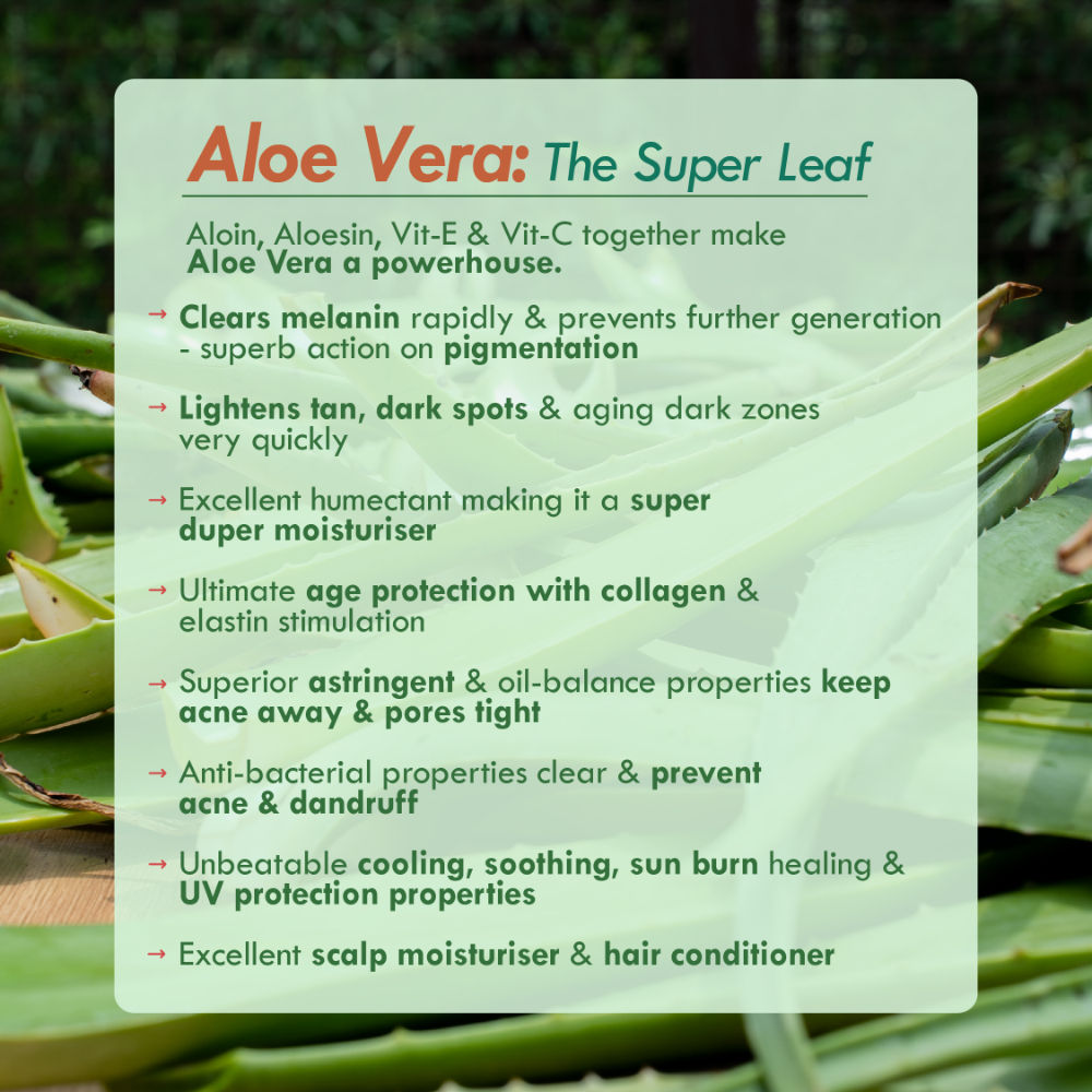 Fresh Pure Aloe Vera Gel for Healthy Skin & Hair, Oil Free Moisturizer and Dandruff Rescue