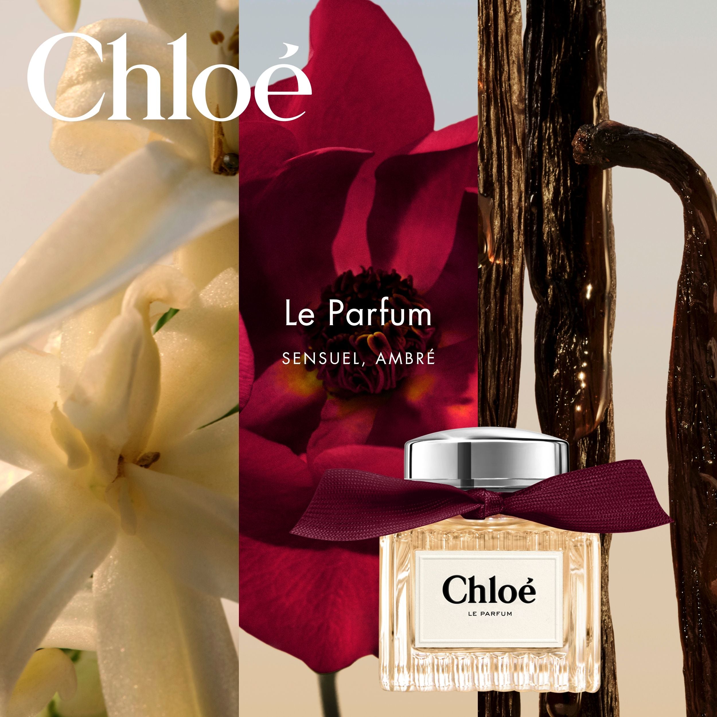 Le Parfum