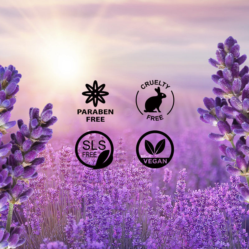 French Lavender Body Butter
