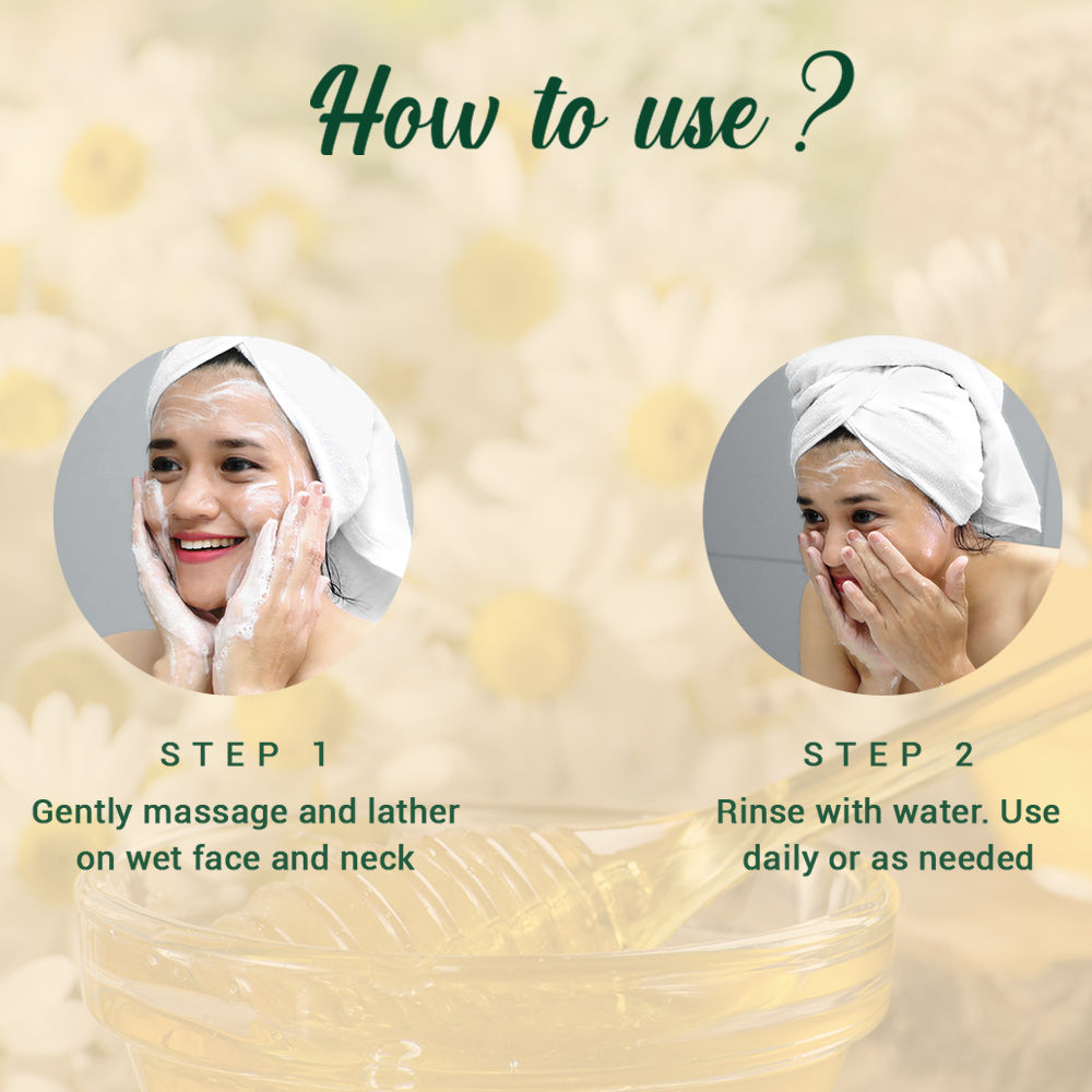 Bio Honey Gel Refreshing Foaming Face Wash