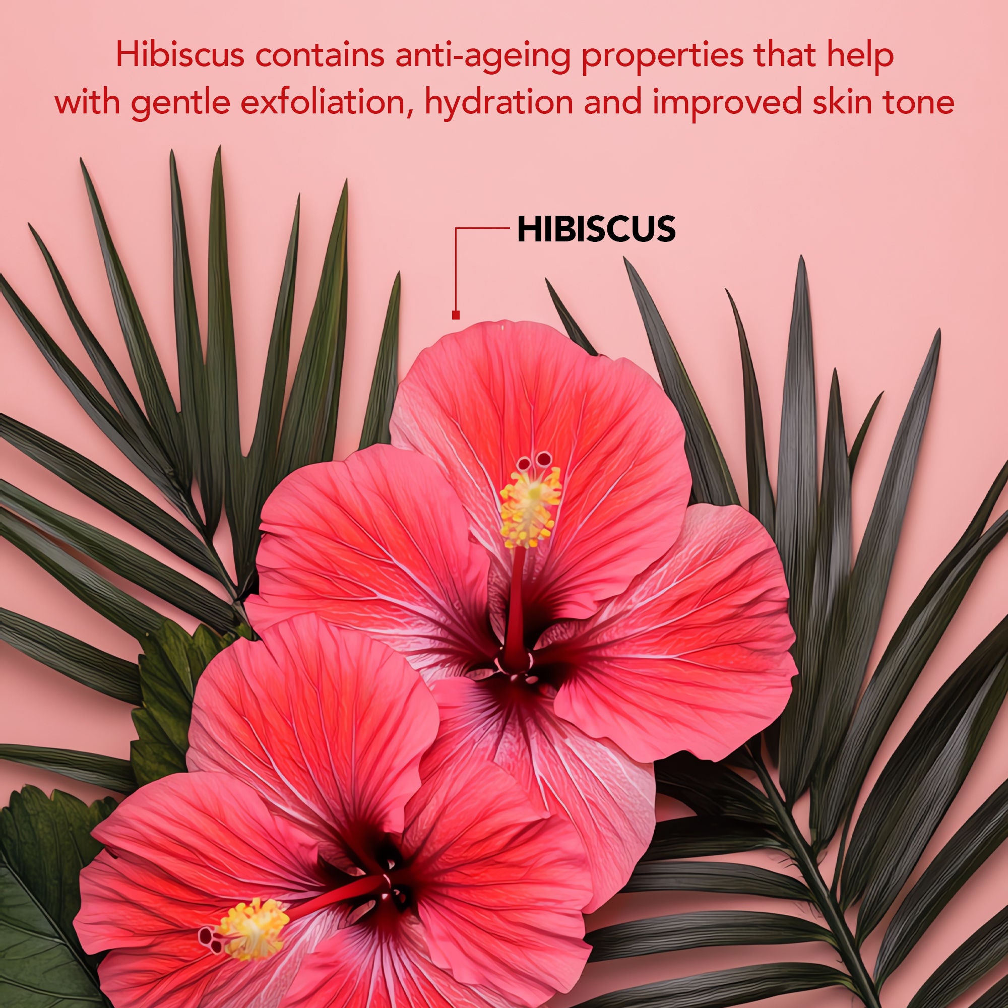 Hibiscus Body Scrub