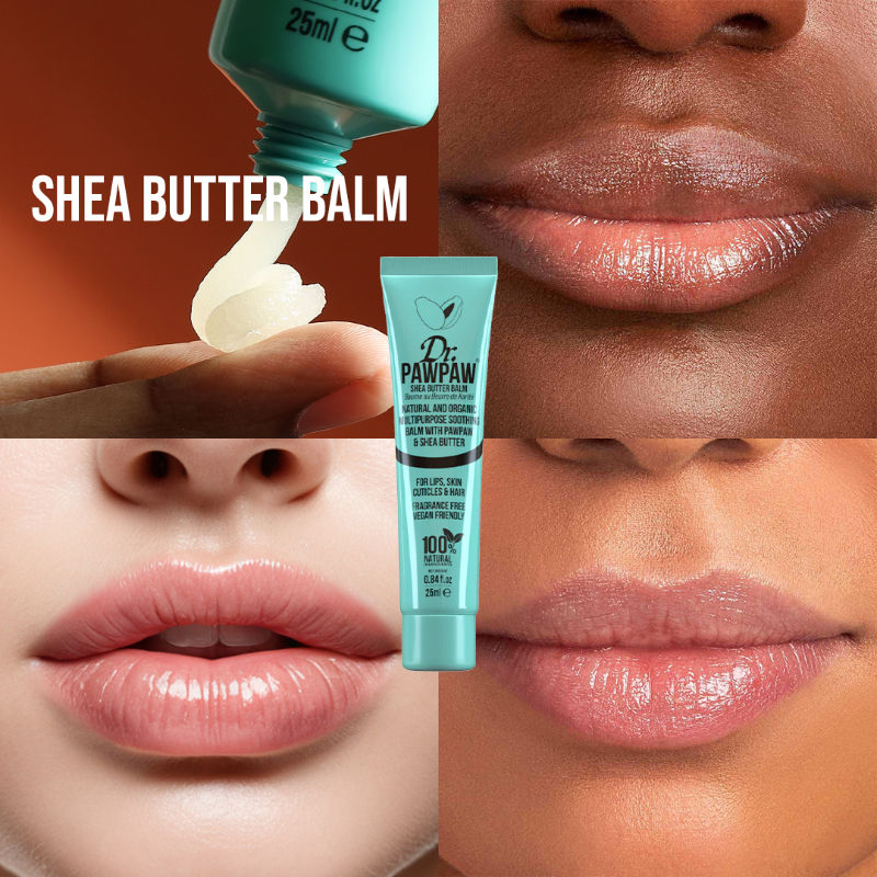 Shea Butter Lip Balm