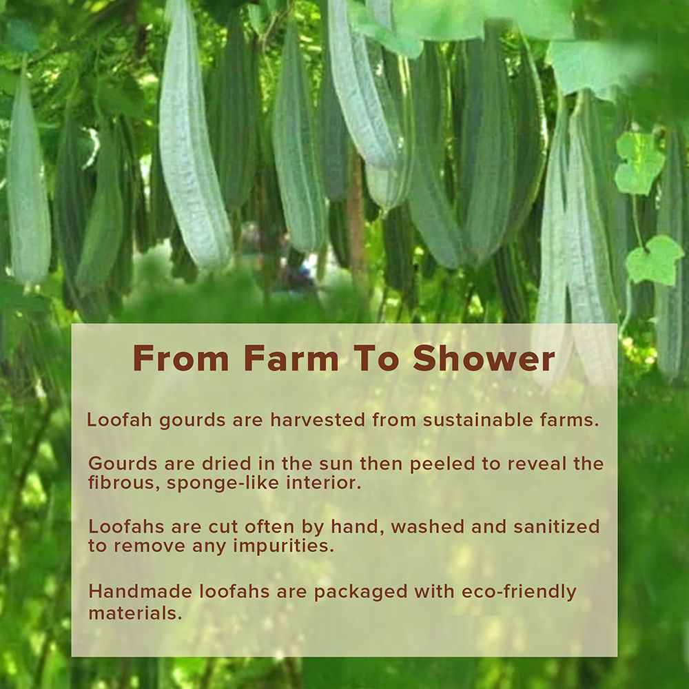 Natural Sun Dried Bath Loofah Square in a Gift Bag Body Scrubber Women & Men