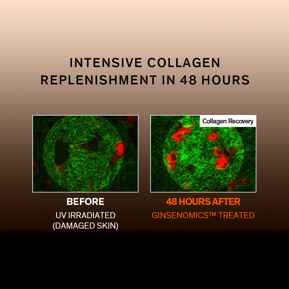 Concentrated Ginseng Renewing Serum Ex