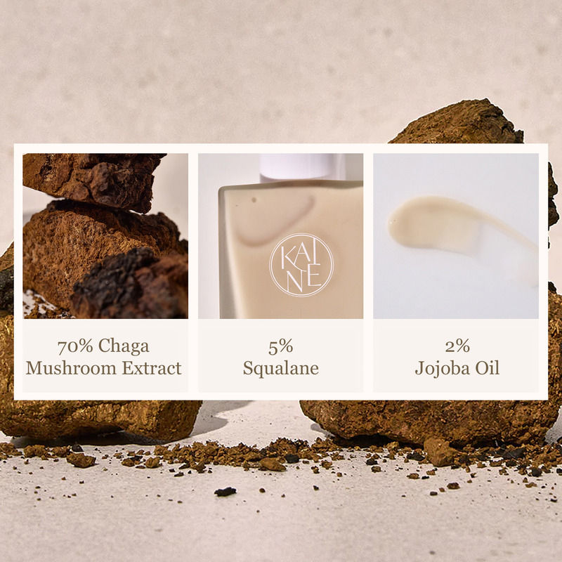 Chaga Collagen Charging Serum with 70% Mushroom Extract, Anti-Aging & Improves Skin Elasticity