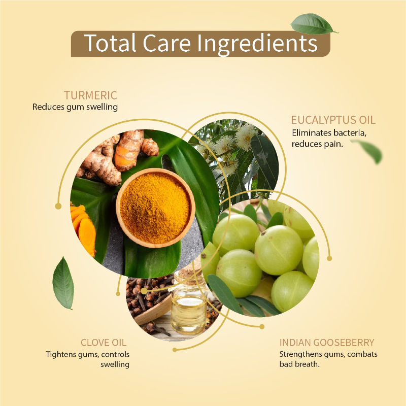 Ayurvedic Total Care 360 Toothpaste with Turmeric & Eucalyptus for Oral Health